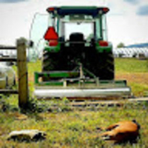 Meet your Posher, Mat